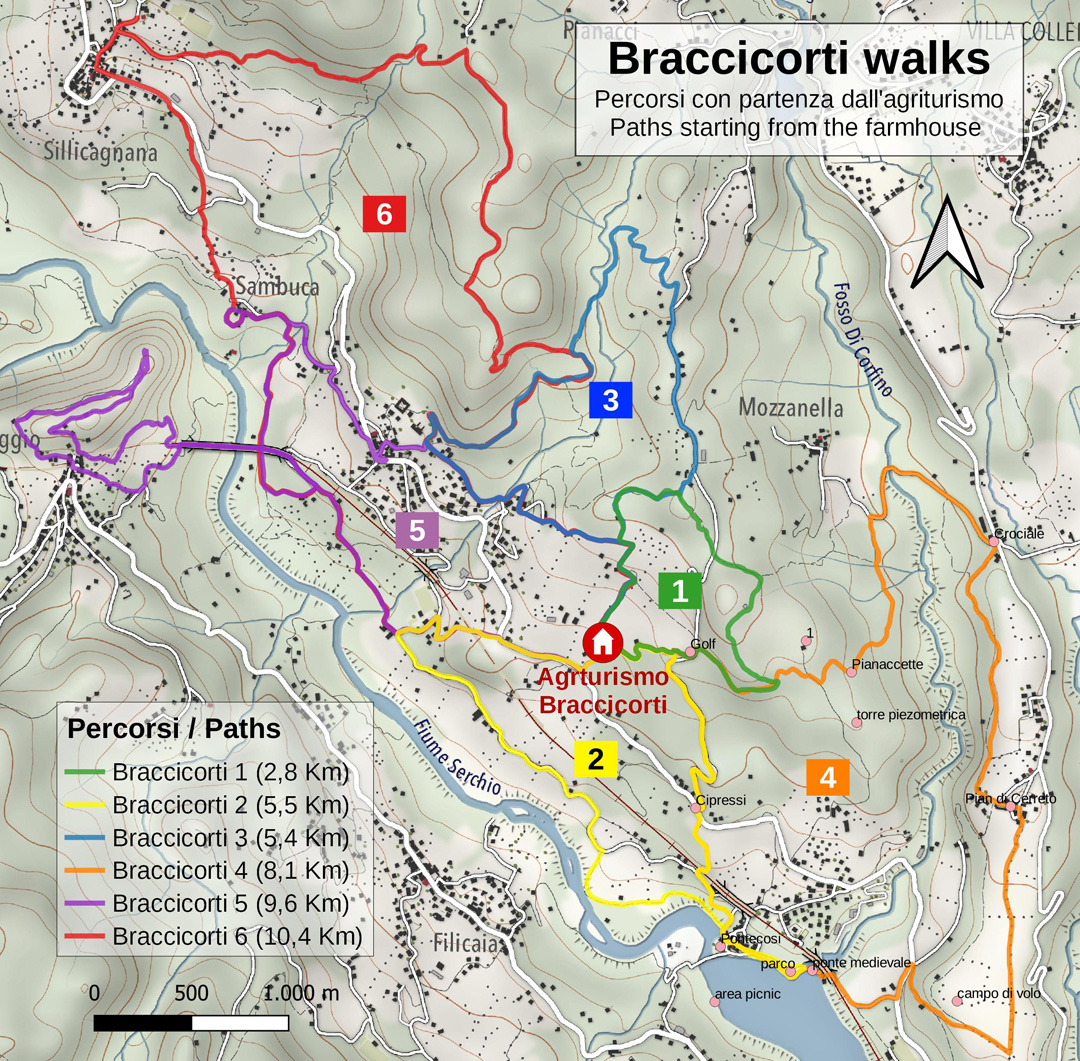 BraccicortiWalks